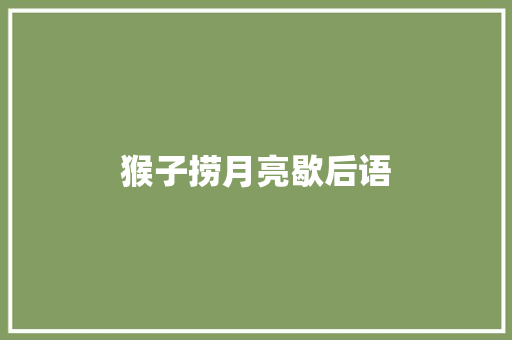 猴子捞月亮歇后语