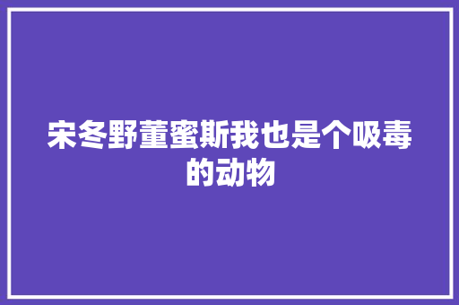 宋冬野董蜜斯我也是个吸毒的动物