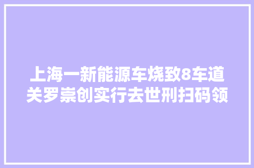上海一新能源车烧致8车道关罗崇创实行去世刑扫码领2024年劳动补贴李亚鹏被曝光