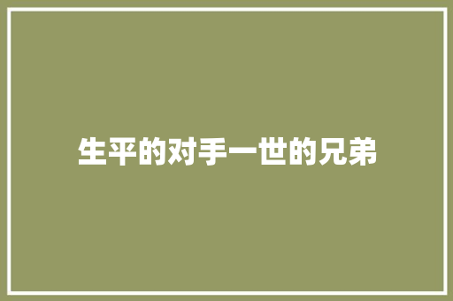 生平的对手一世的兄弟