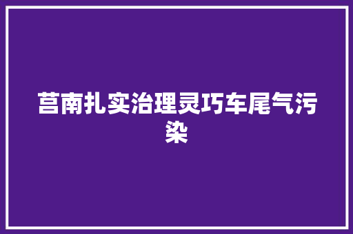 莒南扎实治理灵巧车尾气污染