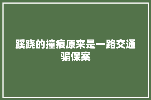蹊跷的撞痕原来是一路交通骗保案