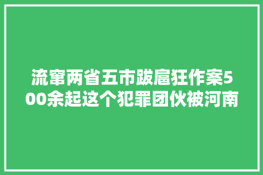 流窜两省五市跋扈狂作案500余起这个犯罪团伙被河南警方抓获