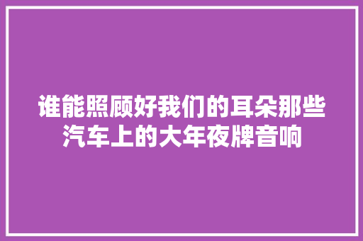 谁能照顾好我们的耳朵那些汽车上的大年夜牌音响