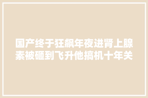 国产终于狂飙年夜进肾上腺素被砸到飞升他搞机十年关华语圈称王