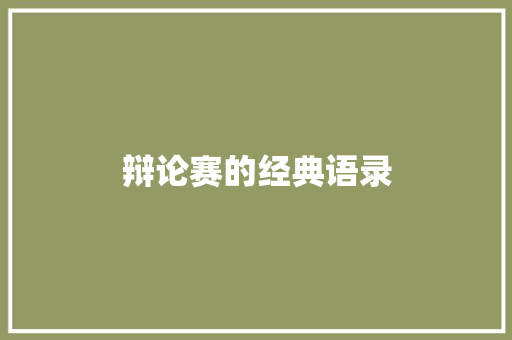 辩论赛的经典语录