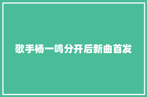 歌手杨一鸣分开后新曲首发