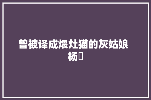曾被译成煨灶猫的灰姑娘  杨焄 休闲娱乐