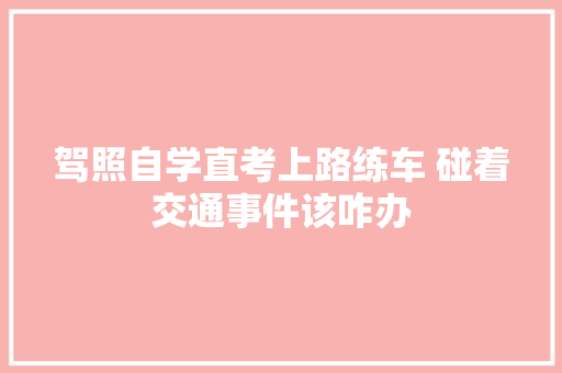 驾照自学直考上路练车 碰着交通事件该咋办