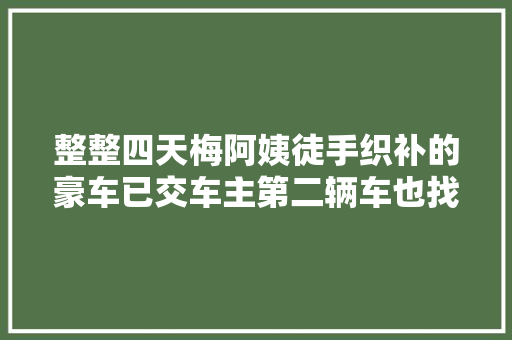 整整四天梅阿姨徒手织补的豪车已交车主第二辆车也找上了门 汽车知识
