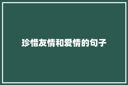 珍惜友情和爱情的句子