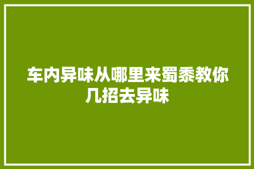 车内异味从哪里来蜀黍教你几招去异味