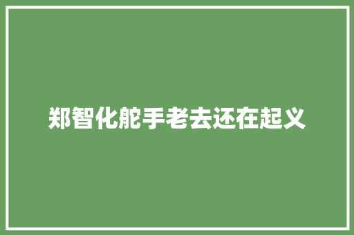 郑智化舵手老去还在起义