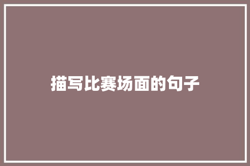 描写比赛场面的句子