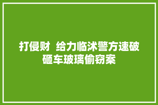 打侵财  给力临沭警方速破砸车玻璃偷窃案