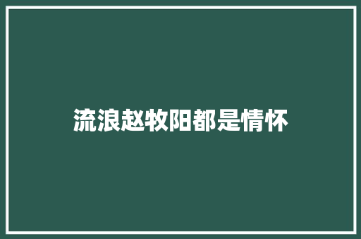 流浪赵牧阳都是情怀