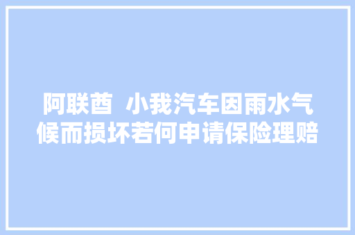 阿联酋  小我汽车因雨水气候而损坏若何申请保险理赔