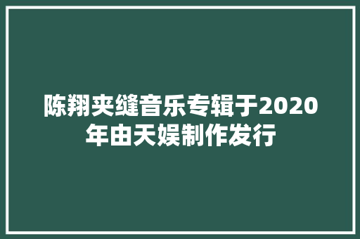陈翔夹缝音乐专辑于2020年由天娱制作发行