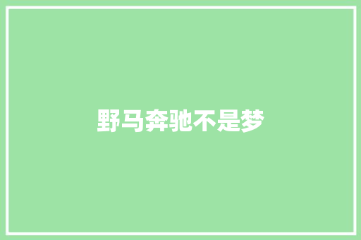 野马奔驰不是梦