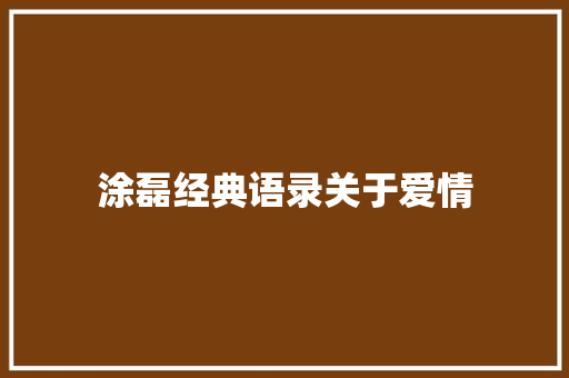 涂磊经典语录关于爱情
