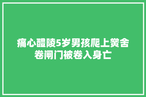 痛心醴陵5岁男孩爬上黉舍卷闸门被卷入身亡