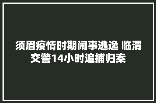 须眉疫情时期闹事逃逸 临渭交警14小时追捕归案