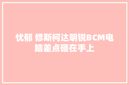 忧郁 修斯柯达明锐BCM电脑差点砸在手上