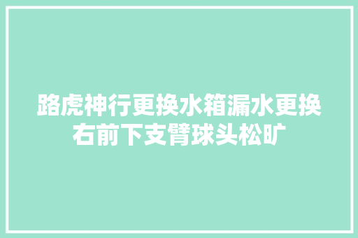路虎神行更换水箱漏水更换右前下支臂球头松旷