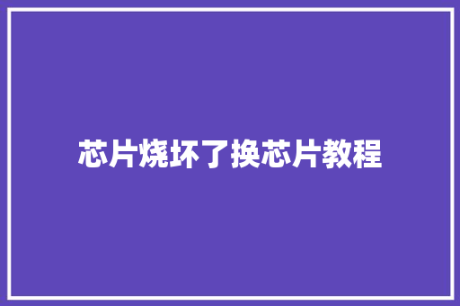 芯片烧坏了换芯片教程