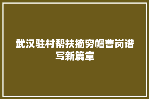 武汉驻村帮扶摘穷帽曹岗谱写新篇章