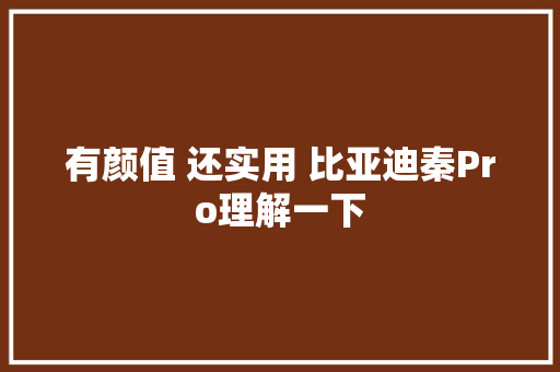 有颜值 还实用 比亚迪秦Pro理解一下