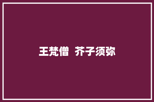 王梵僧  芥子须弥