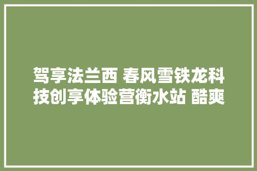 驾享法兰西 春风雪铁龙科技创享体验营衡水站 酷爽开营