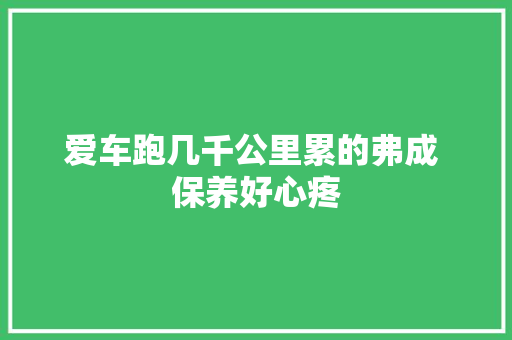 爱车跑几千公里累的弗成 保养好心疼