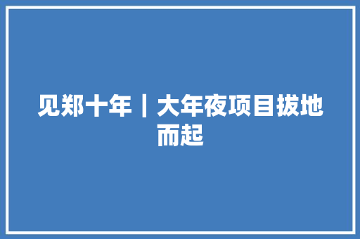 见郑十年｜大年夜项目拔地而起