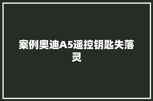 案例奥迪A5遥控钥匙失落灵