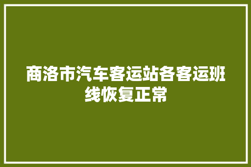 商洛市汽车客运站各客运班线恢复正常