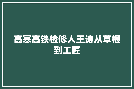 高寒高铁检修人王涛从草根到工匠
