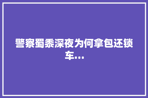 警察蜀黍深夜为何拿包还锁车…
