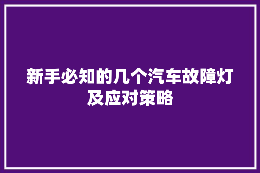 新手必知的几个汽车故障灯及应对策略