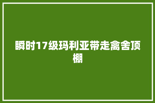 瞬时17级玛利亚带走禽舍顶棚