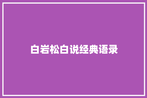 白岩松白说经典语录