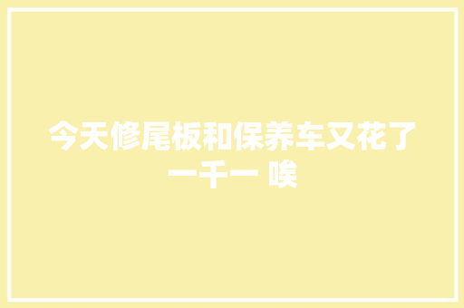 今天修尾板和保养车又花了一千一 唉