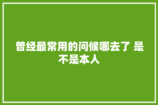 曾经最常用的问候哪去了 是不是本人