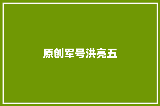 原创军号洪亮五