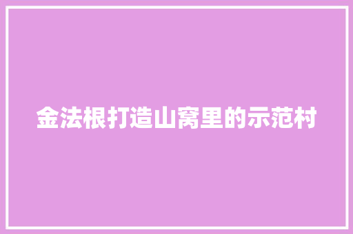 金法根打造山窝里的示范村