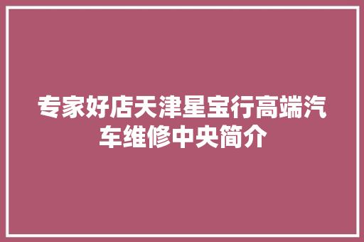 专家好店天津星宝行高端汽车维修中央简介
