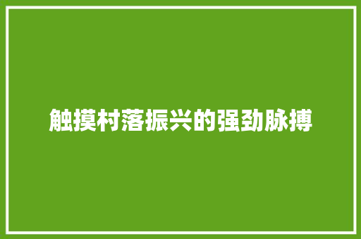 触摸村落振兴的强劲脉搏
