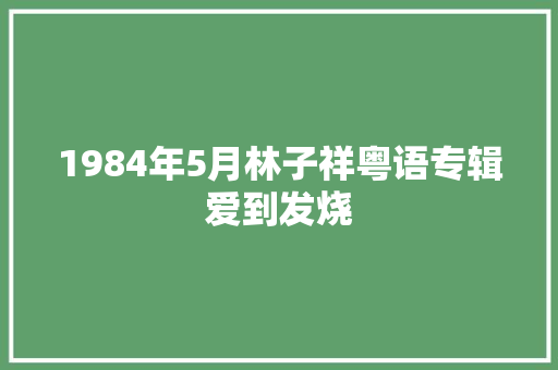1984年5月林子祥粤语专辑爱到发烧