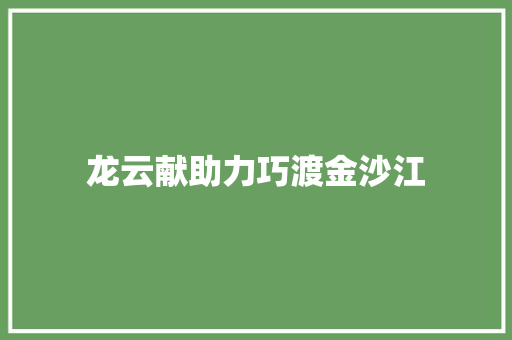 龙云献助力巧渡金沙江